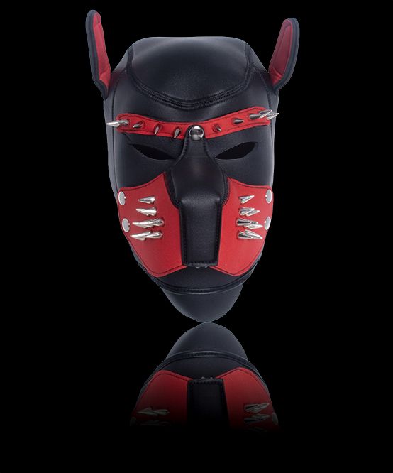 TROPHY BOY® Studded Puppy Play Hood