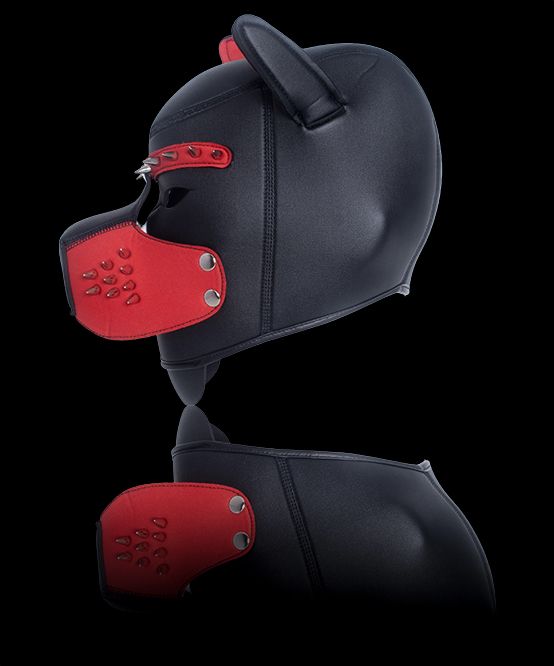 TROPHY BOY® Studded Puppy Play Hood