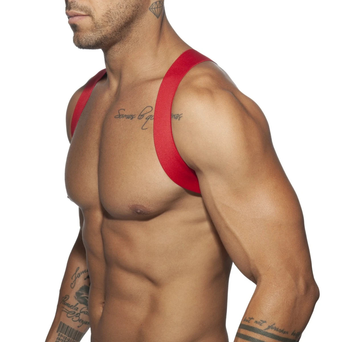 SPIDER HARNESS
