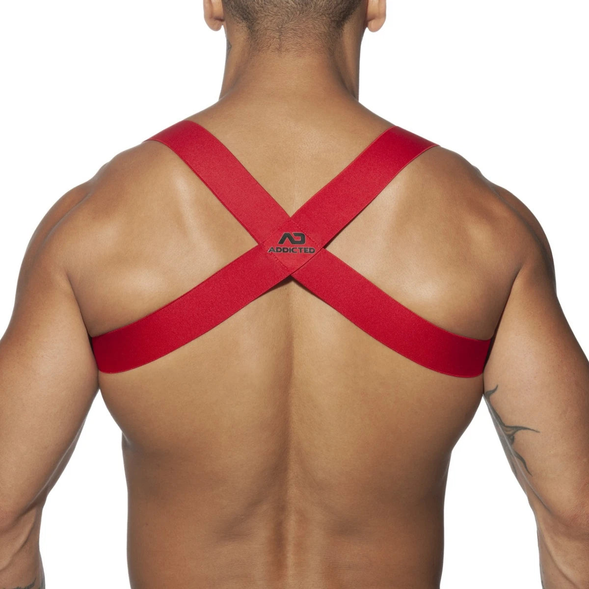 SPIDER HARNESS