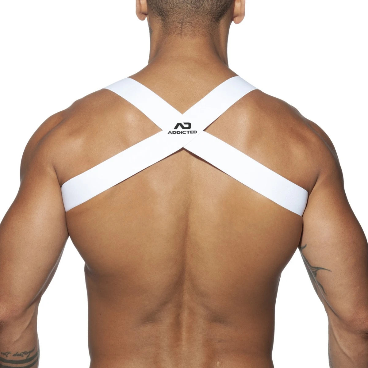 SPIDER HARNESS