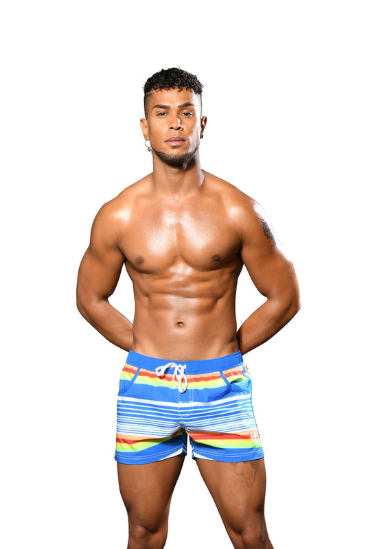 Retro Stripe Swim Shorts