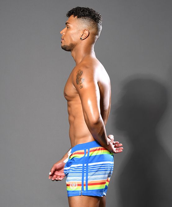 Retro Stripe Swim Shorts