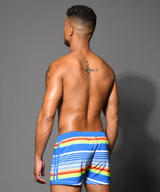 Retro Stripe Swim Shorts